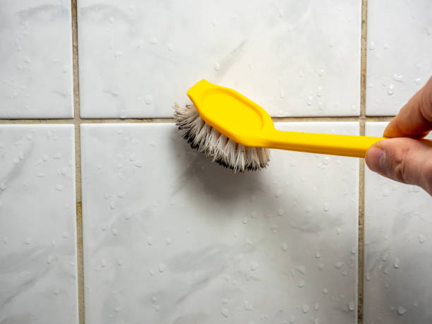 Best Best Mold Removal Companies  in Valley Hill, NC