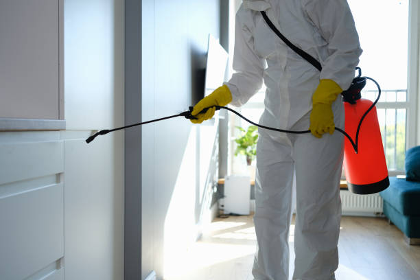 Best Residential Mold Removal  in Valley Hill, NC