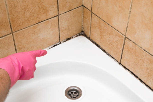 Best Attic Mold Removal  in Valley Hill, NC